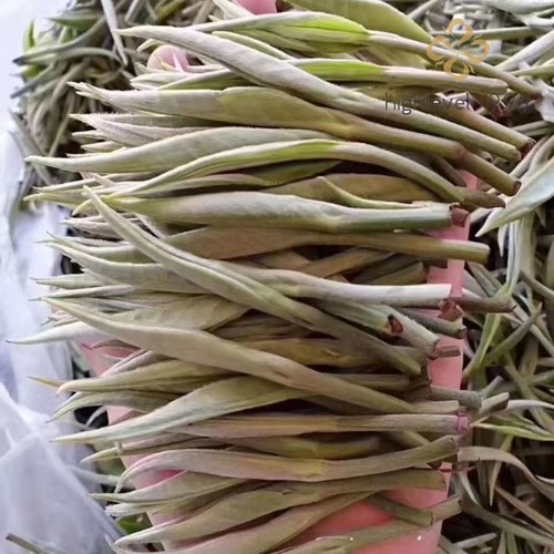 500 ago argento yunnan - 500,
