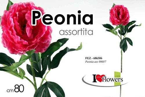 Peonia con stelo - con, fiore
