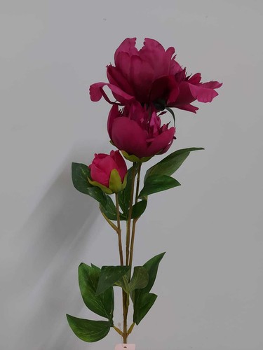 Peonia 65cm fucsia - 65cm,